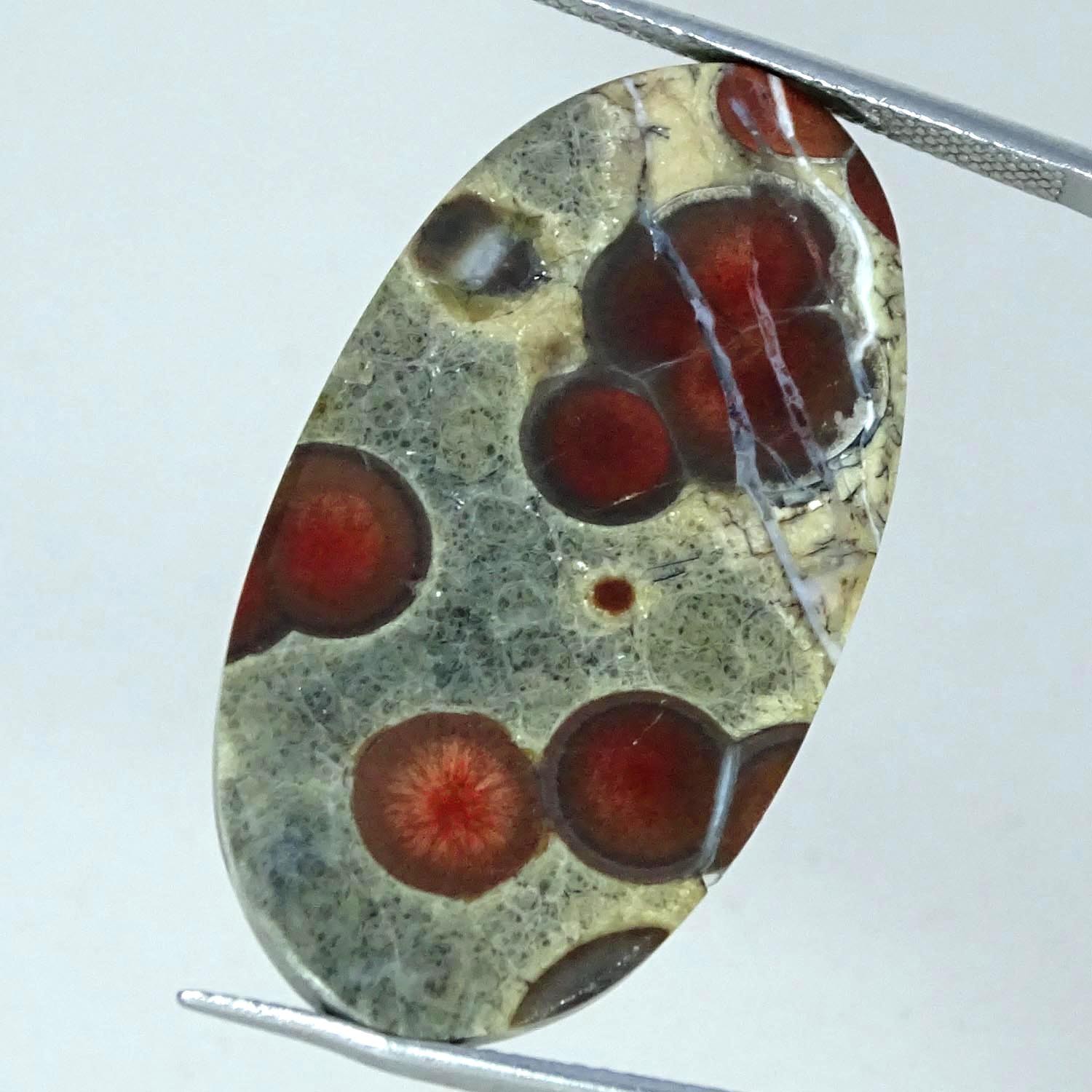 23.10Cts 100% Natural Peanut Obsidian Oval Cabochon Gemstone 19X35X5MM