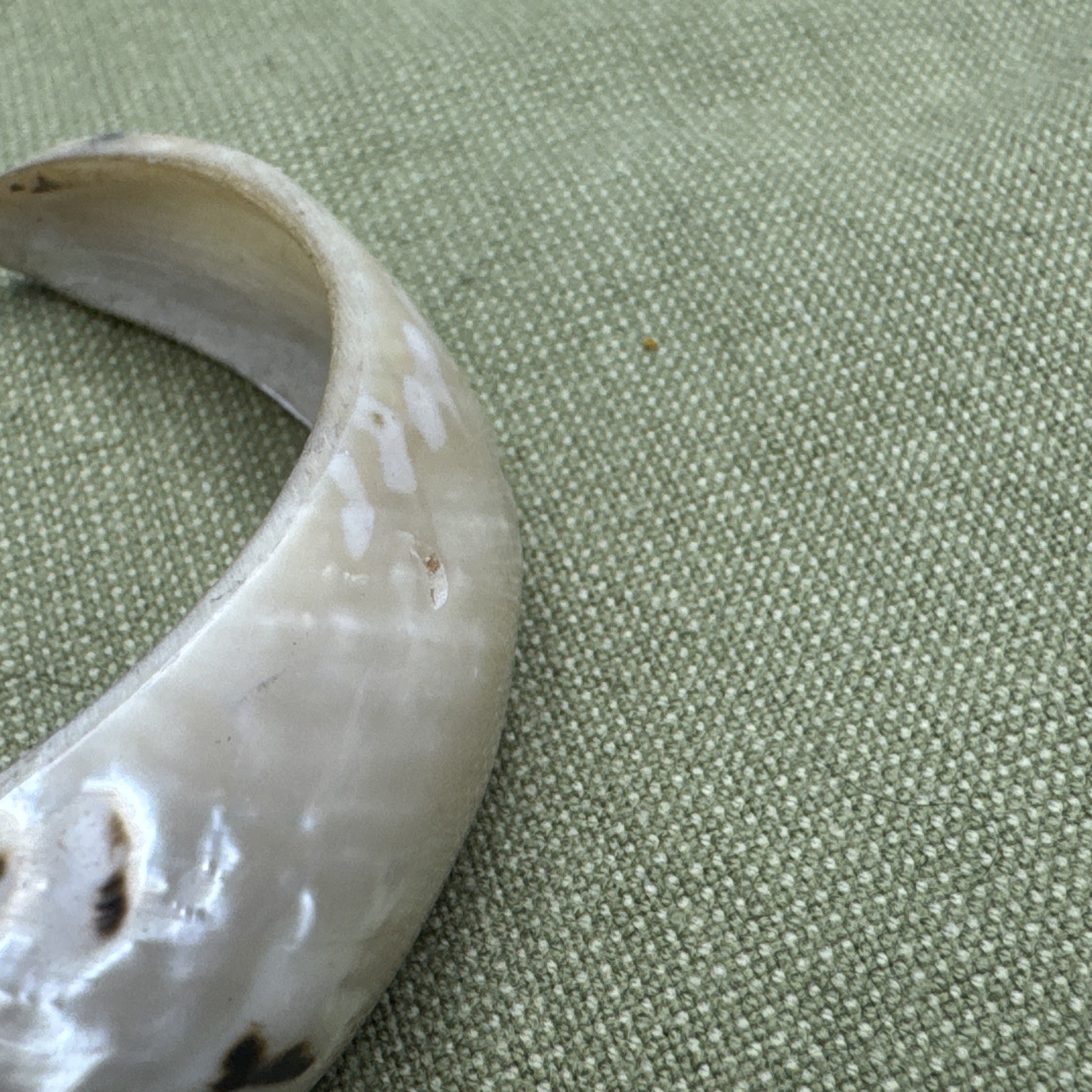 Sea Shell Bracelet Cuff -Black White Cream Hawaii Shell Section Cuff