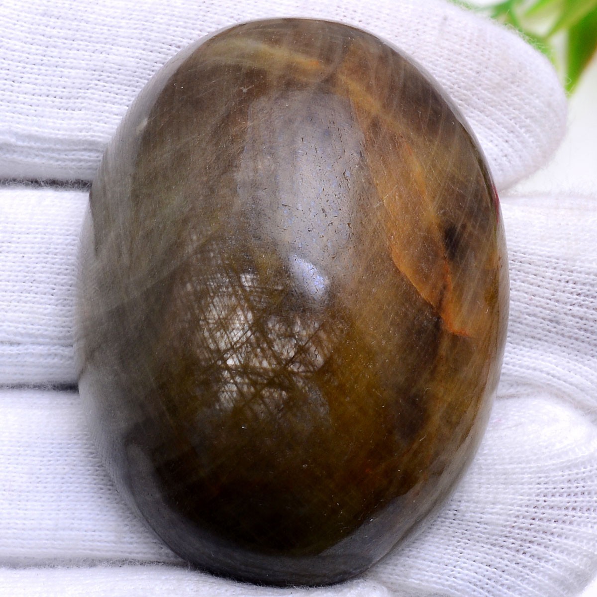 565 Cts Natural Sapphire Oval Cabochon Untreated Huge Museum Size Loose Gemstone