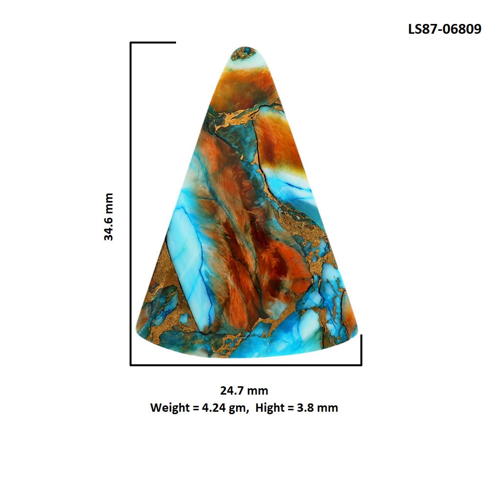 Natural Spiny Oyster Turquoise 24.7×34.6×3.8 mm Fancy Shape Gemstone LS87-06809