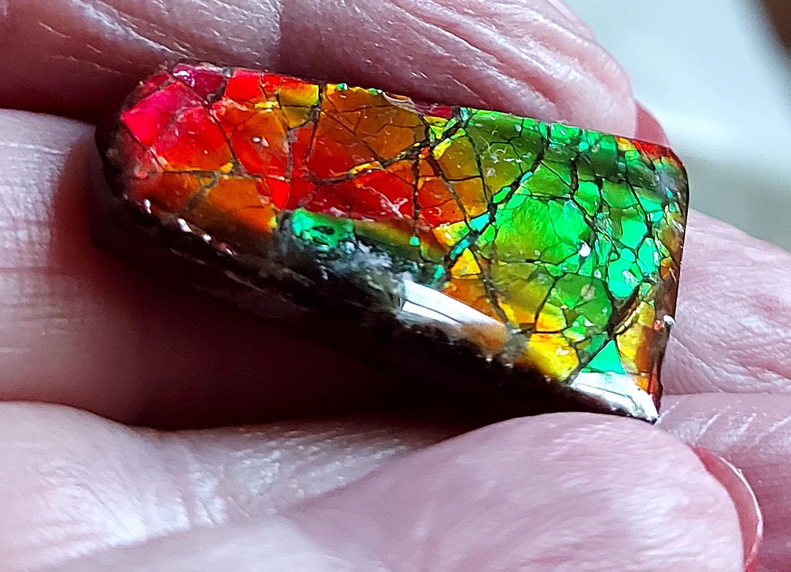 Ammolite Ammonite Coated Stone BRIGHT C Changer 28.7×21.8×4.7mm 5647