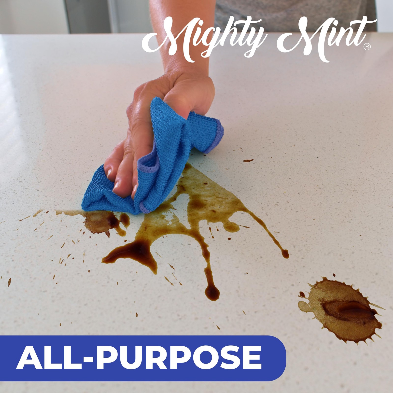 Mighty Mint All-Purpose Cleaner Spray – 16 Fl Oz (Pack of 1), Clear