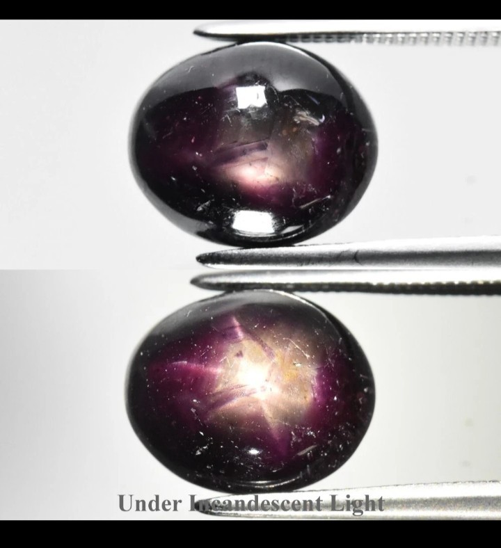 6.71ct Golden Purple & Red 6 RAY STAR RUBY Diffused OVAL Cabachocon 10.5x9x6.5mm