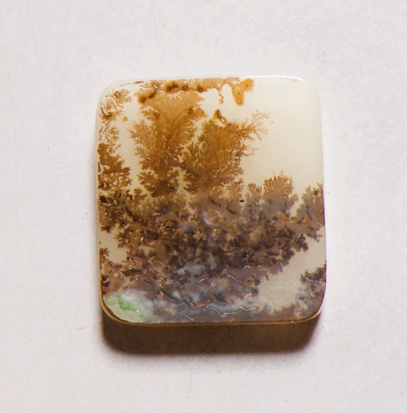 13.90 Cts Natural Shazar Dendritic Agate Cabochon Loose Gemstone 20X18X3MM 169