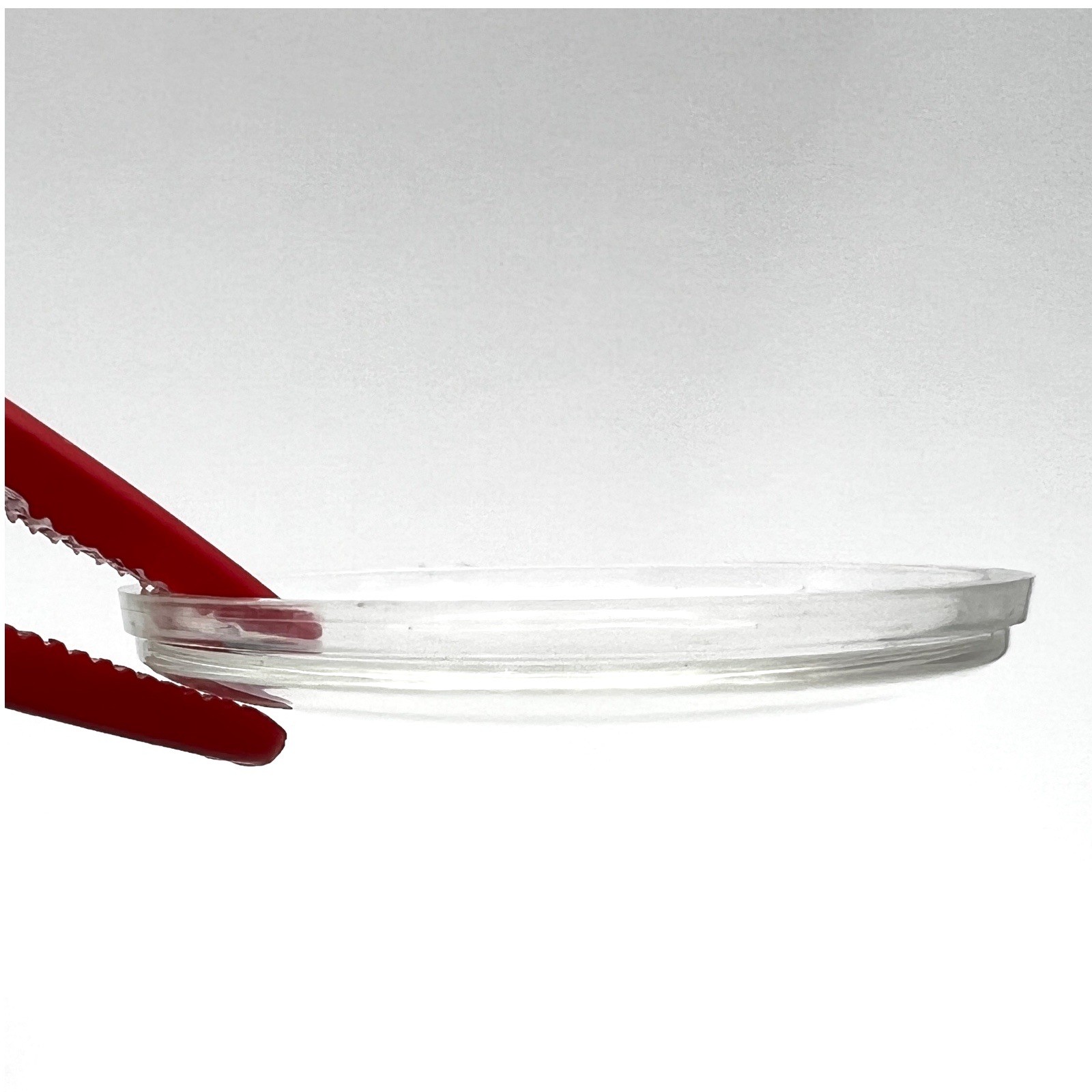 Round Step Watch Crystal SUC 19.0 mm to 34.6mm Waterproof NOS Read!
