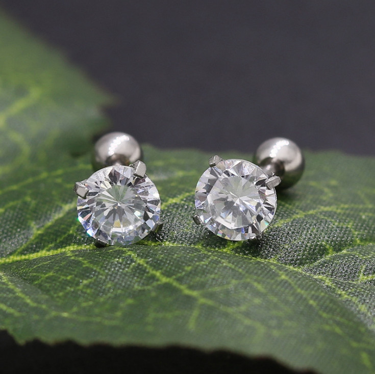2Pcs Surgical Stainless Steel Round CZ Earrings Screw Back Ear Studs Men Women