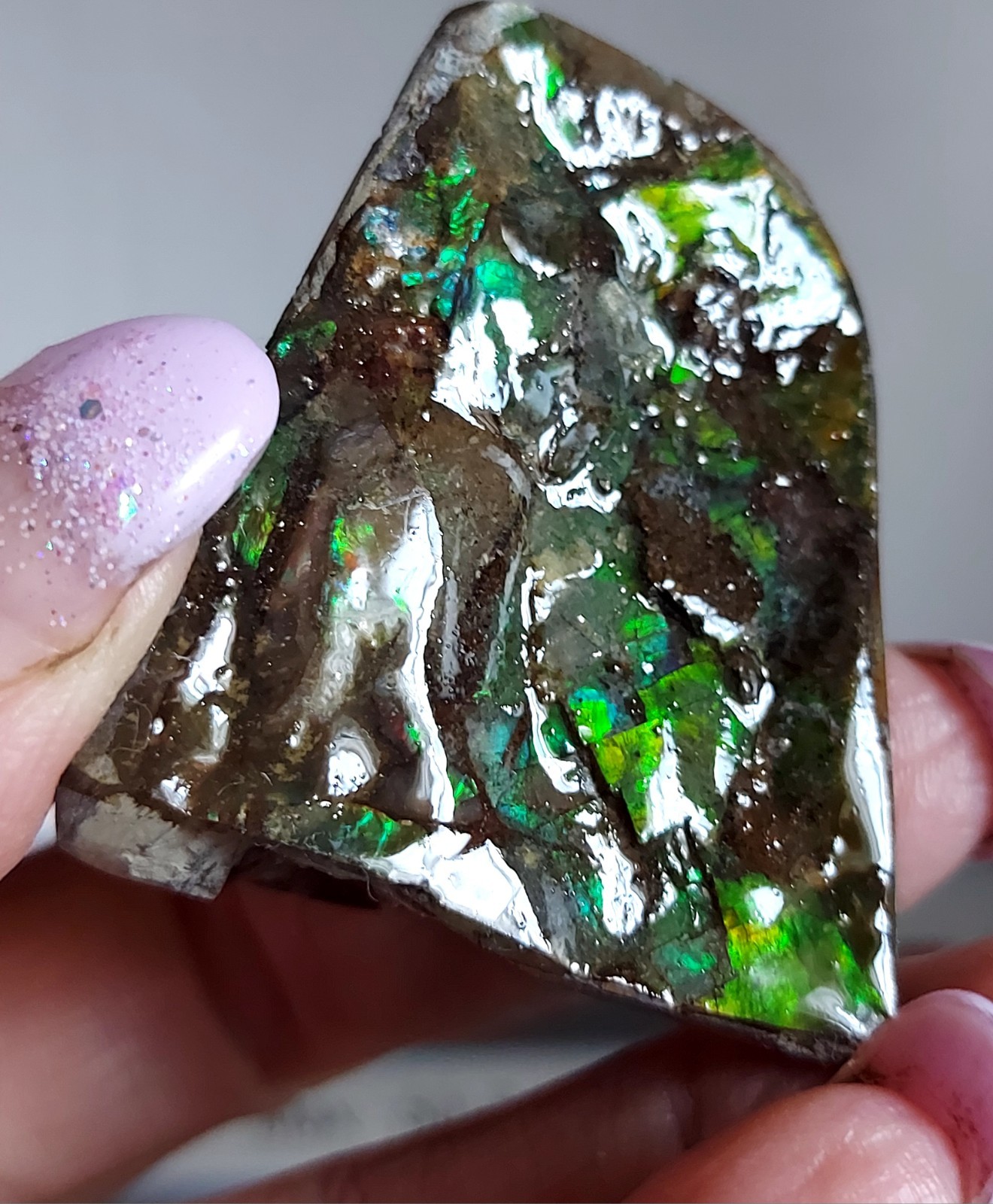 Ammolite Ammonite tabletop Display Piece 45.4×39.2x21mm 2843