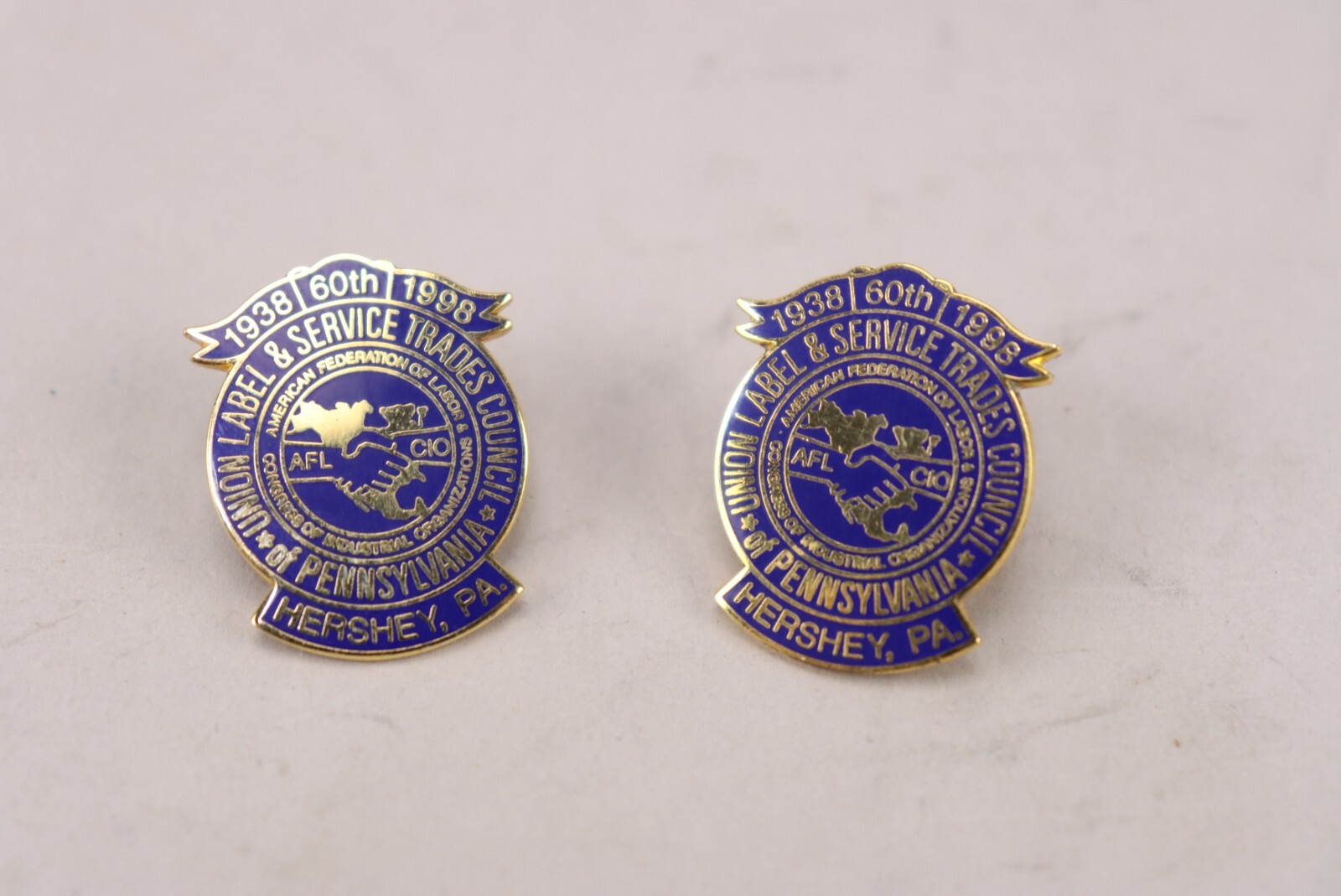 Lot of 14 Vtg Union Pins + Label BCT Bakery Hershey Tobacco Legion United Way