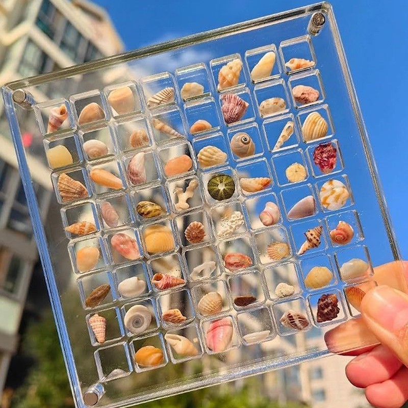 36 Grid Acrylic Seashell Display Box Magnetic Organizer for Beads Jewelry Nails