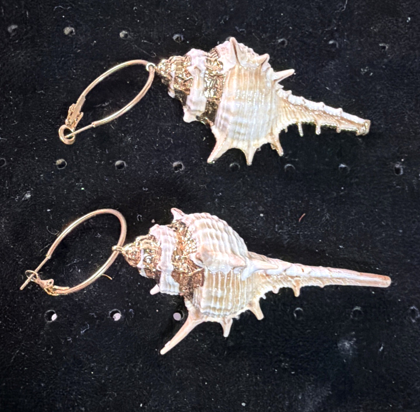 Conch Shell Hoop Dangle Gold Tone Earrings Pierced 3.5 In. Gold Accent