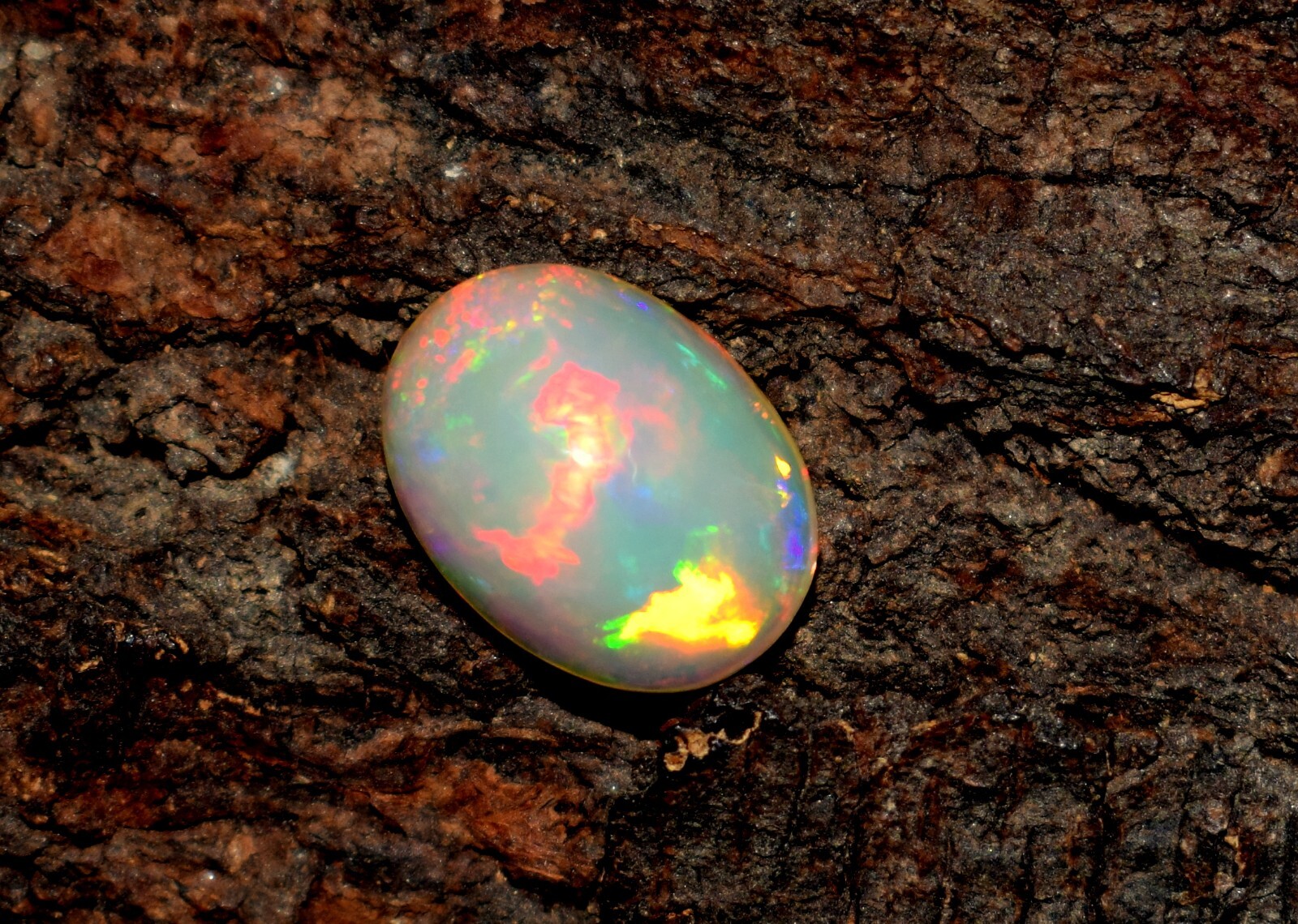 Ethiopian Opal Welo Fire Opal Cabochon 13×9.5×5.4 mm Loose Gemstone Gift F3372