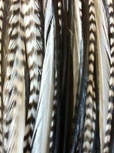 4-6 Genuine Grizzly Black & White Zebra Feathers for Hair Extensions Bonded Toge