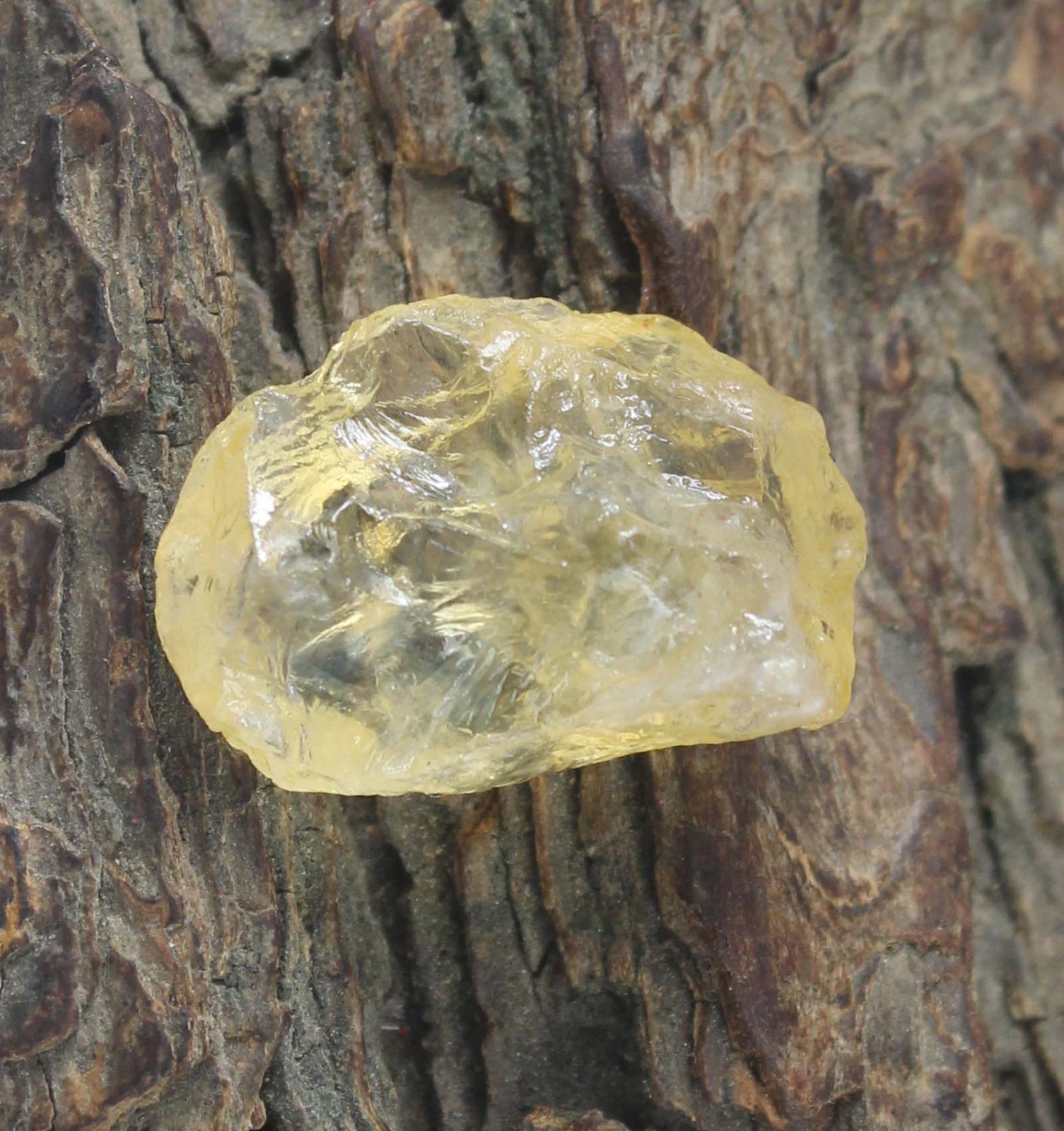 Yellow Grossular Garnet Certified 22.65 Ct Natural Gemstone Rough T37087
