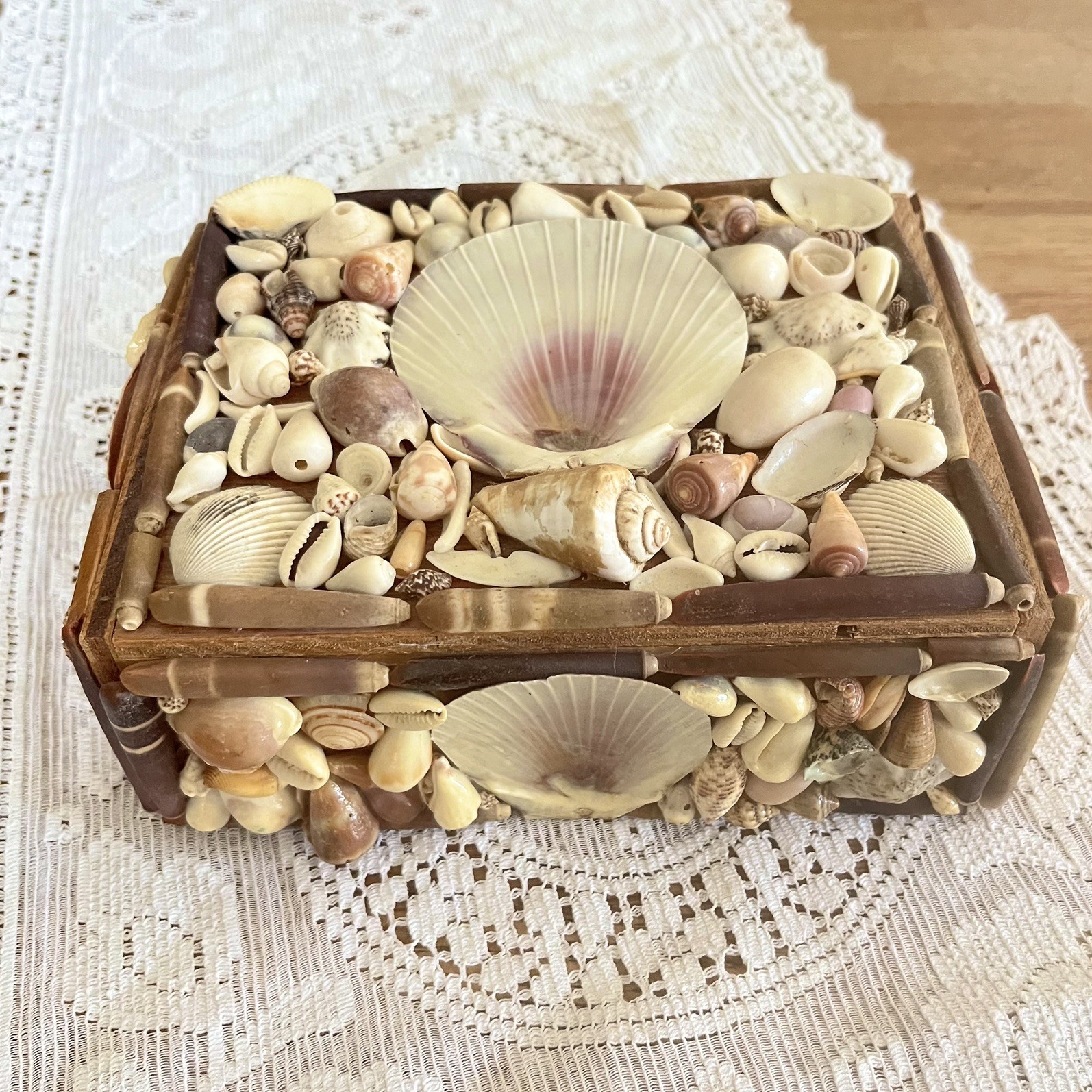 Vintage Seashell Jewelry Box Keepsake Trinket Shell Coastal Nautical