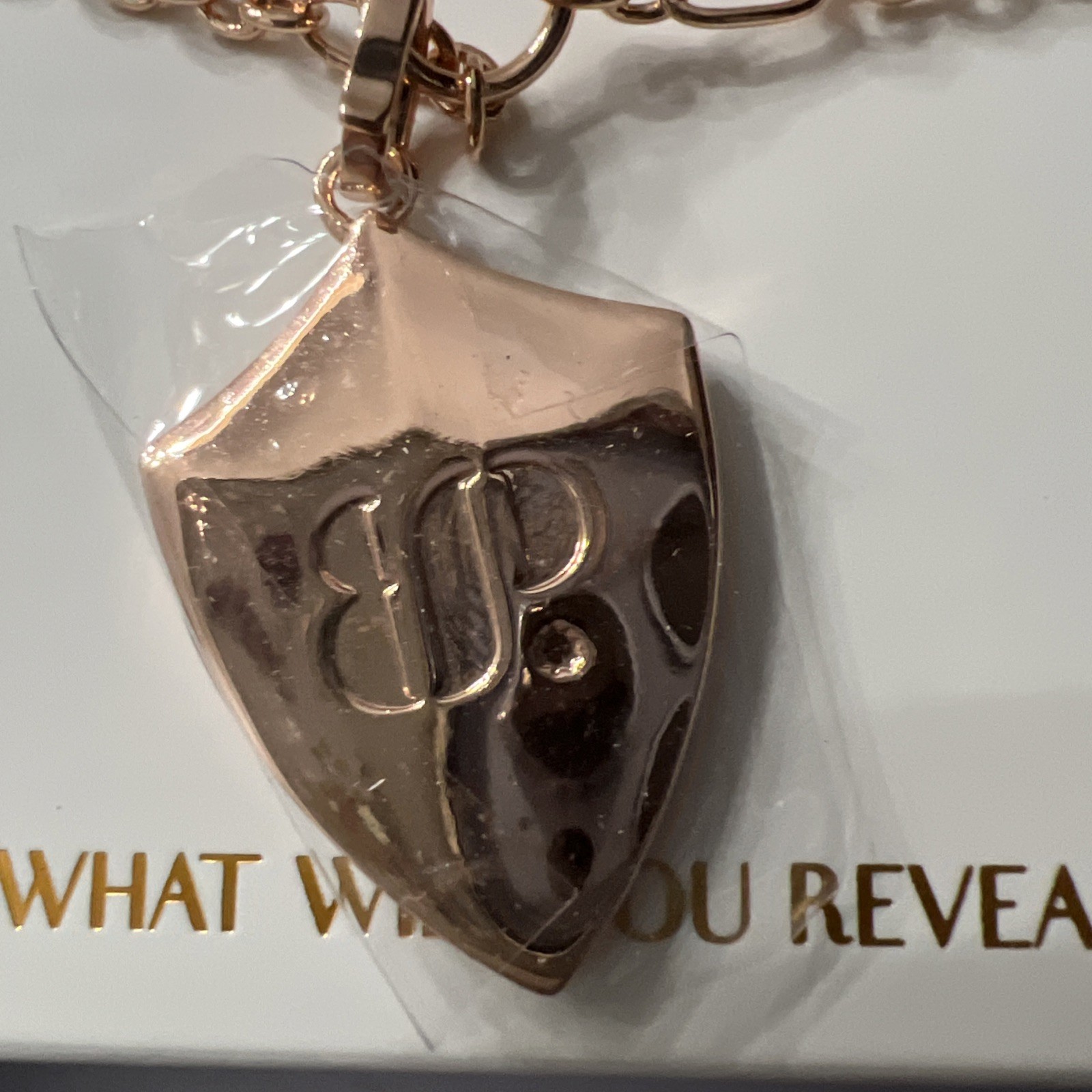 Bomb party June 2026 necklace “The Arabella Shield” LC Alexandrite RG plating