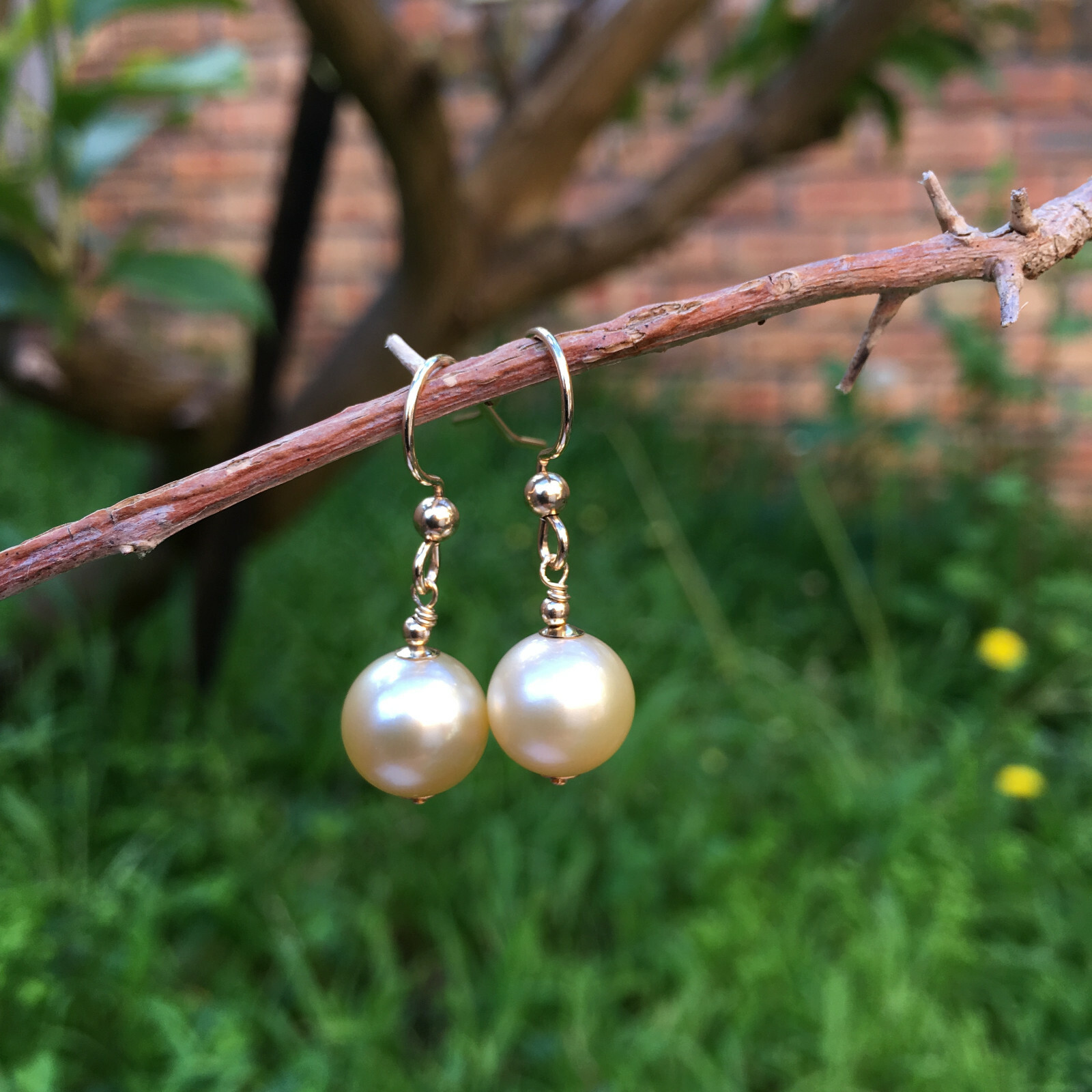 9.5-10mm natural high luster Australia gold seawater Pearl 14KGF Earring 29.5mm
