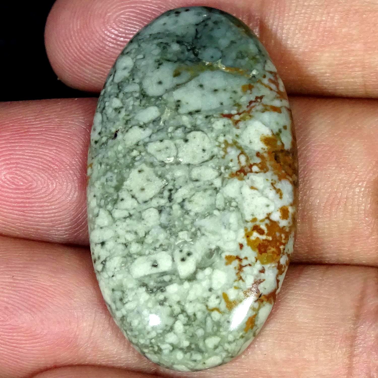 43.50Cts. Natural Picture Jasper Oval Cabochon Gemstone 23X41X5MM