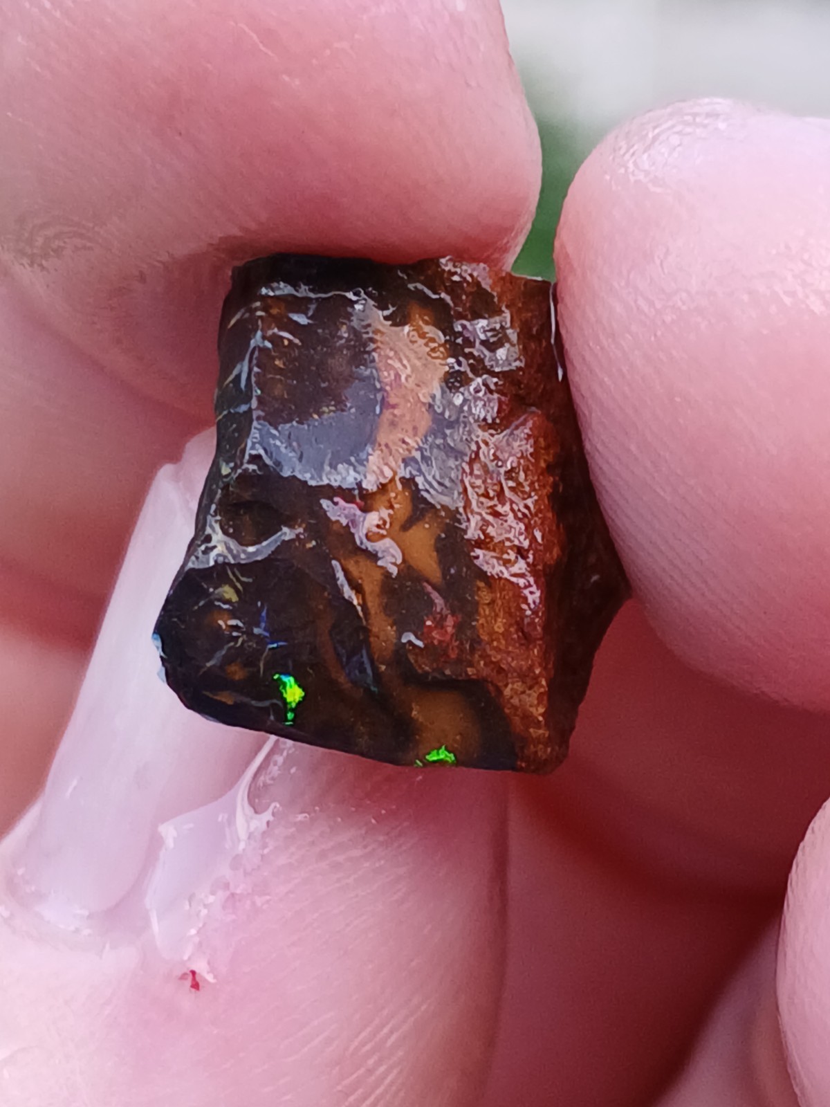 Australia Boulder Opal Koroit R313 Specimen 11 Carat Blue Green