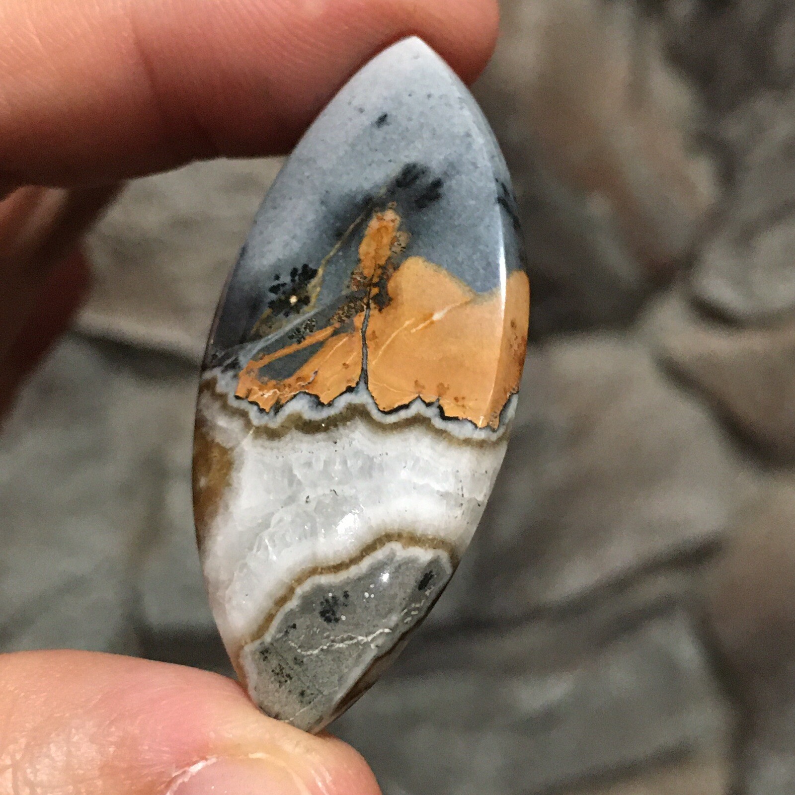 48×23.5×6.9mm Scenic Maligano Jasper Oval Cabochon Collectors Picture Stone