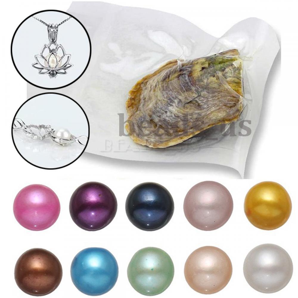 10XNatural Akoya Pearl Oysters Real Pearl Freshwater Pearl Holiday Gift 7-8mm