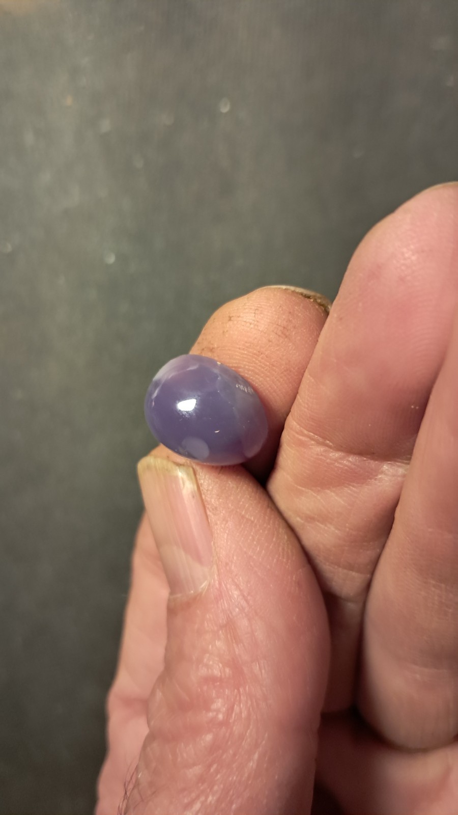 Holly Blue Agate Cabochon 15×12.2mm Oval
