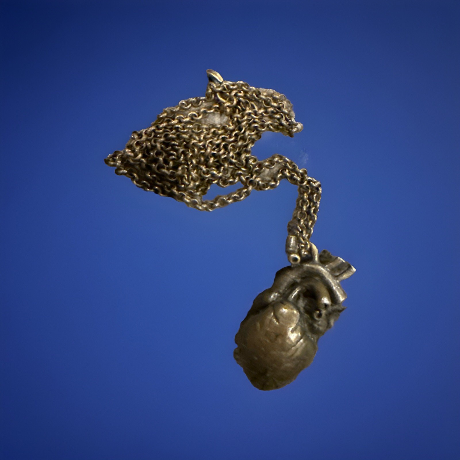 Necklace Heart Anatomical Pendant Necklace Stainless Steel(?) Bronze (?)