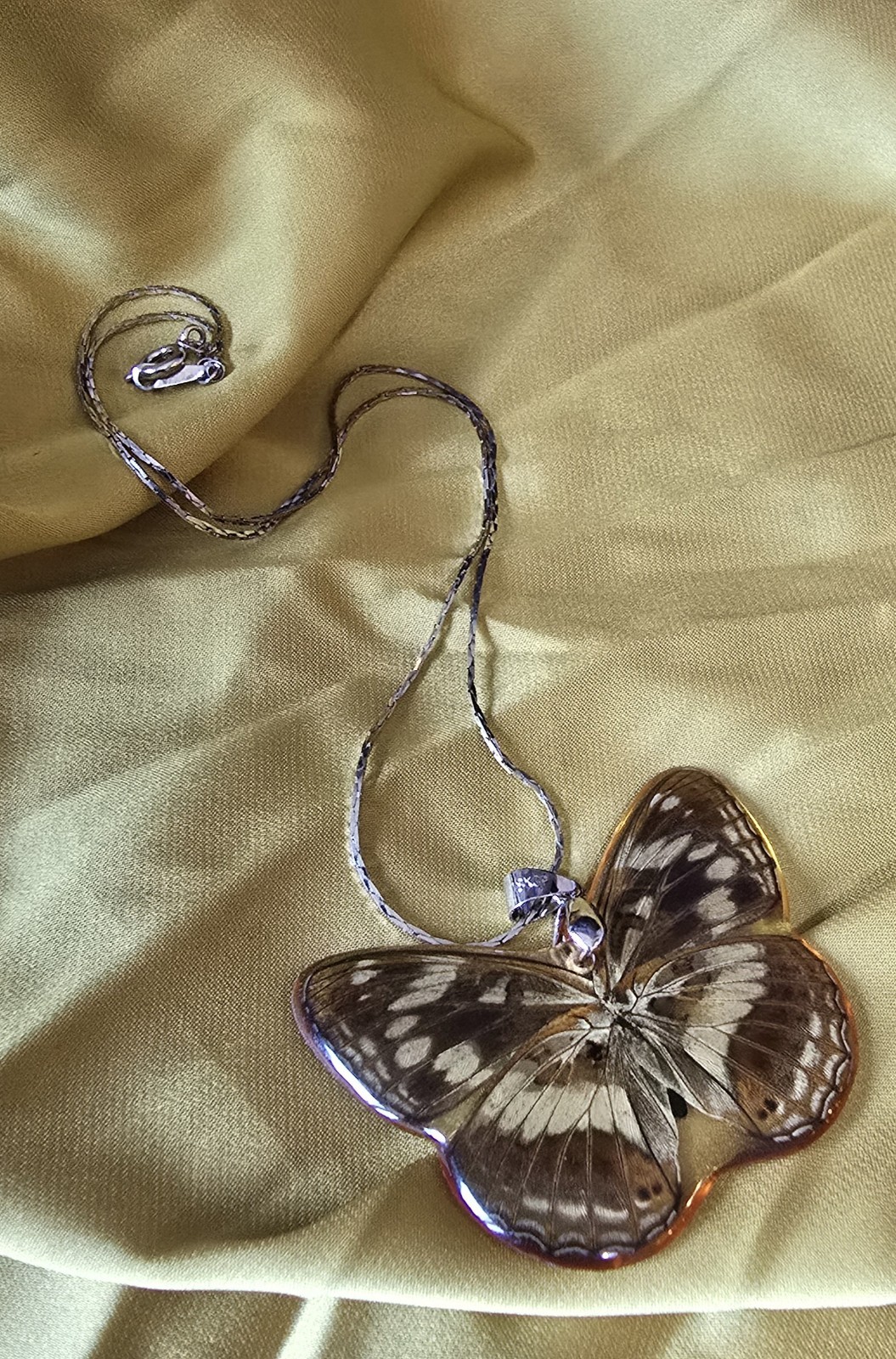 Vintage Real Butterfly Wing Resin Pendant Necklace 18KGP Stamp Silver Tone