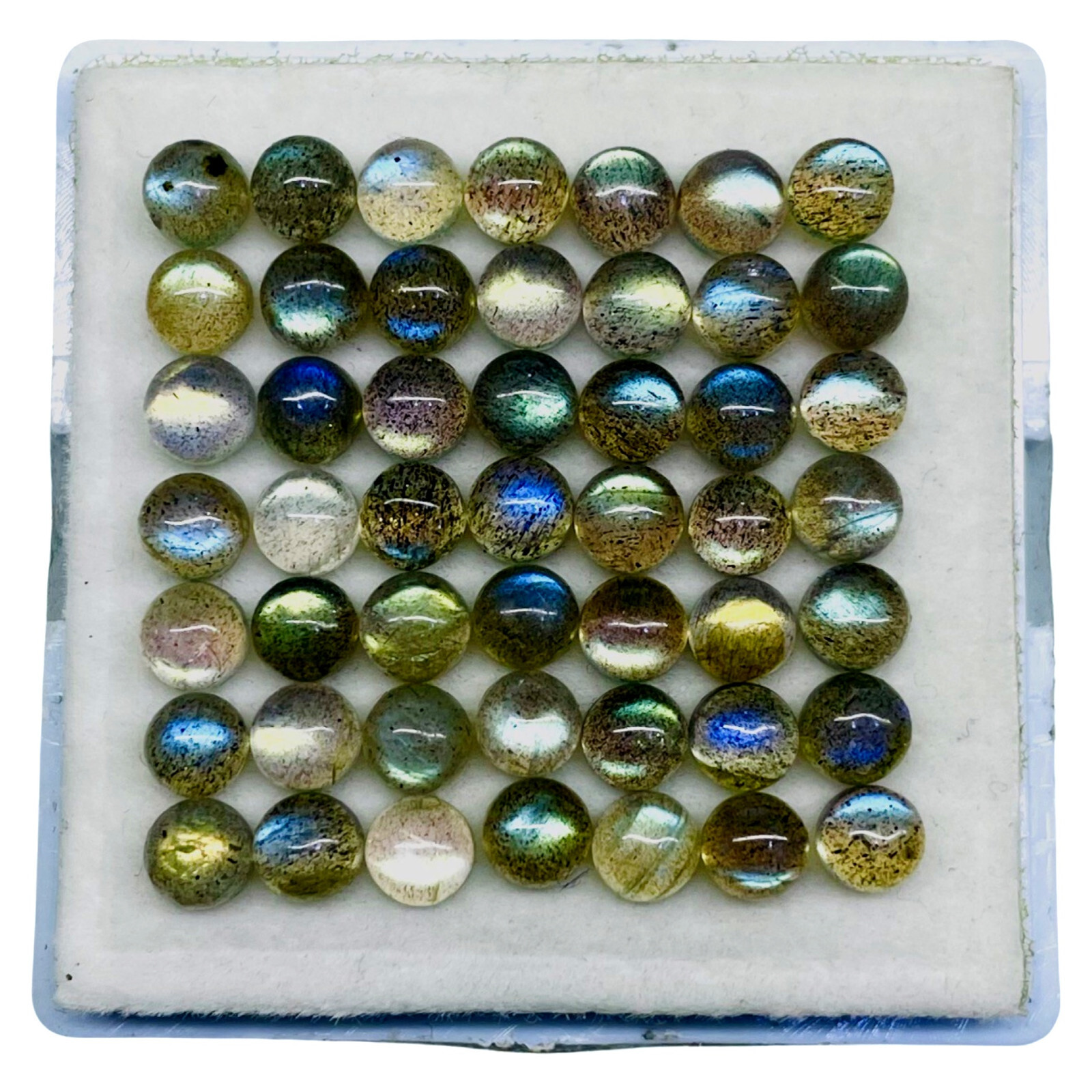 50 Pcs Natural Labradorite 5mm Round Top Quality Loose Cabochon Gemstones Lot