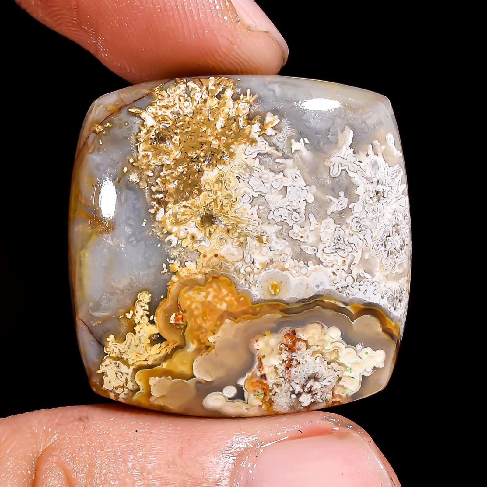 Natural Crazy Lace Agate Cushion Cabochon Loose Gemstone 26X26X5 MM 35.5 Cts.