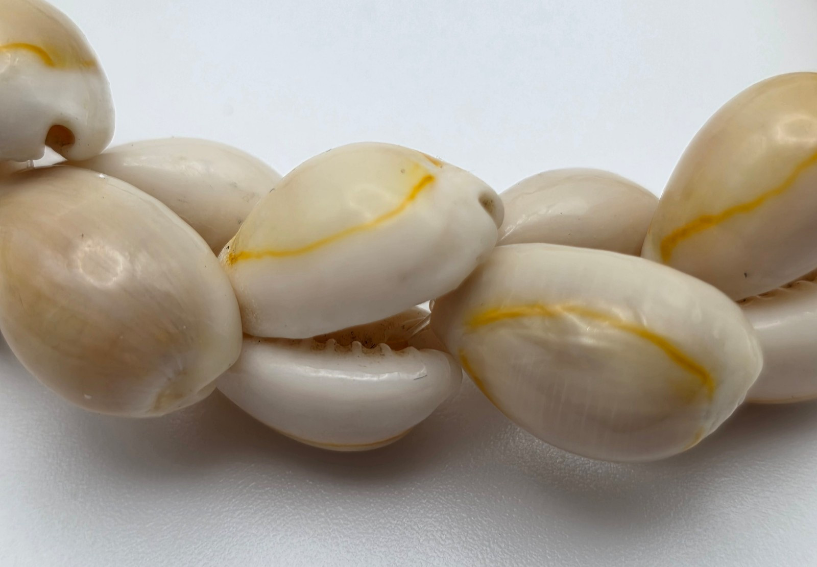 Natural Cowrie Shell Necklace 36 In Continuous Strand Boho Beach 18mm