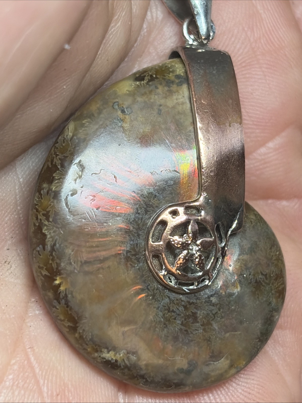2” Fossil Rainbow Ammonite Pendant Set In Copper