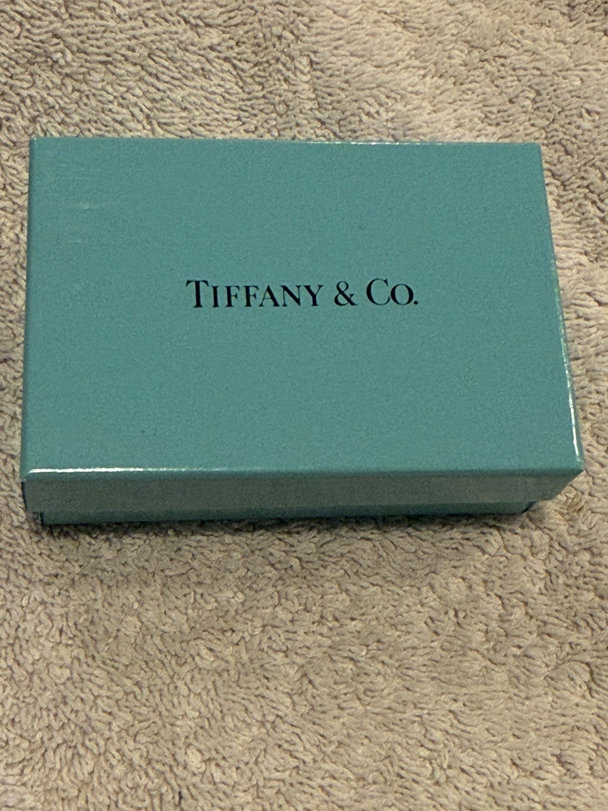 Tiffany & Co Sterling Silver Horseshoe Style Key Ring w/UMDNJ Charm Pouch & Box