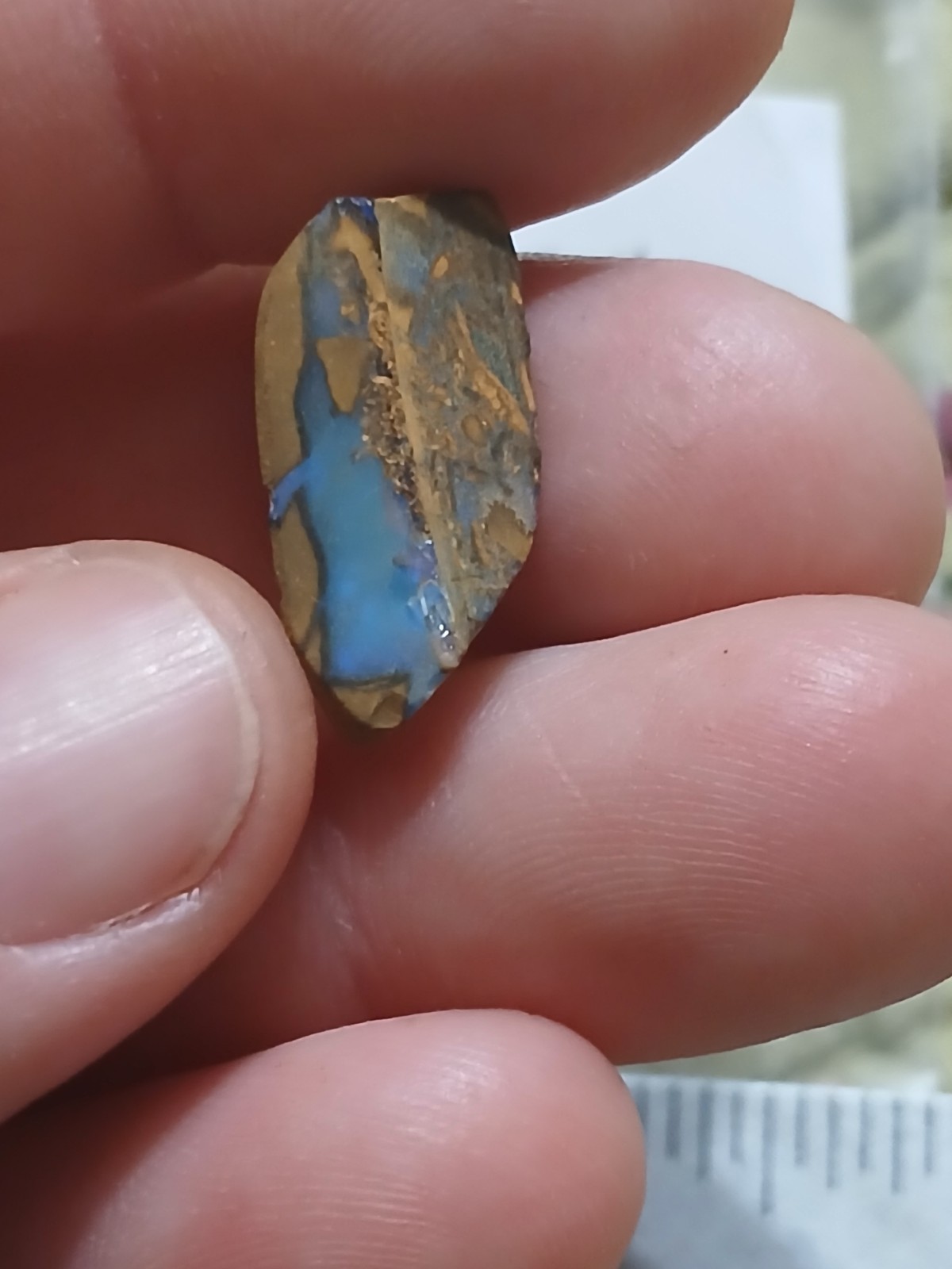 Australia Boulder Opal Unknown Field Blue Green R2037 Specimen 6 Carat