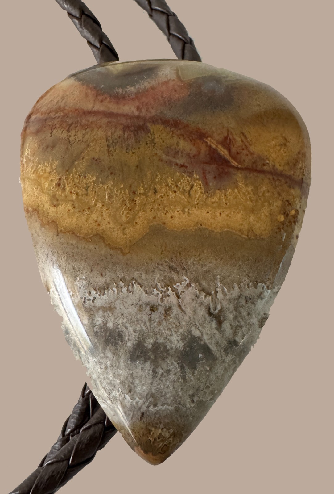 Vintage 1950s Plume Agate Bolo Tie Western Bolo Tie