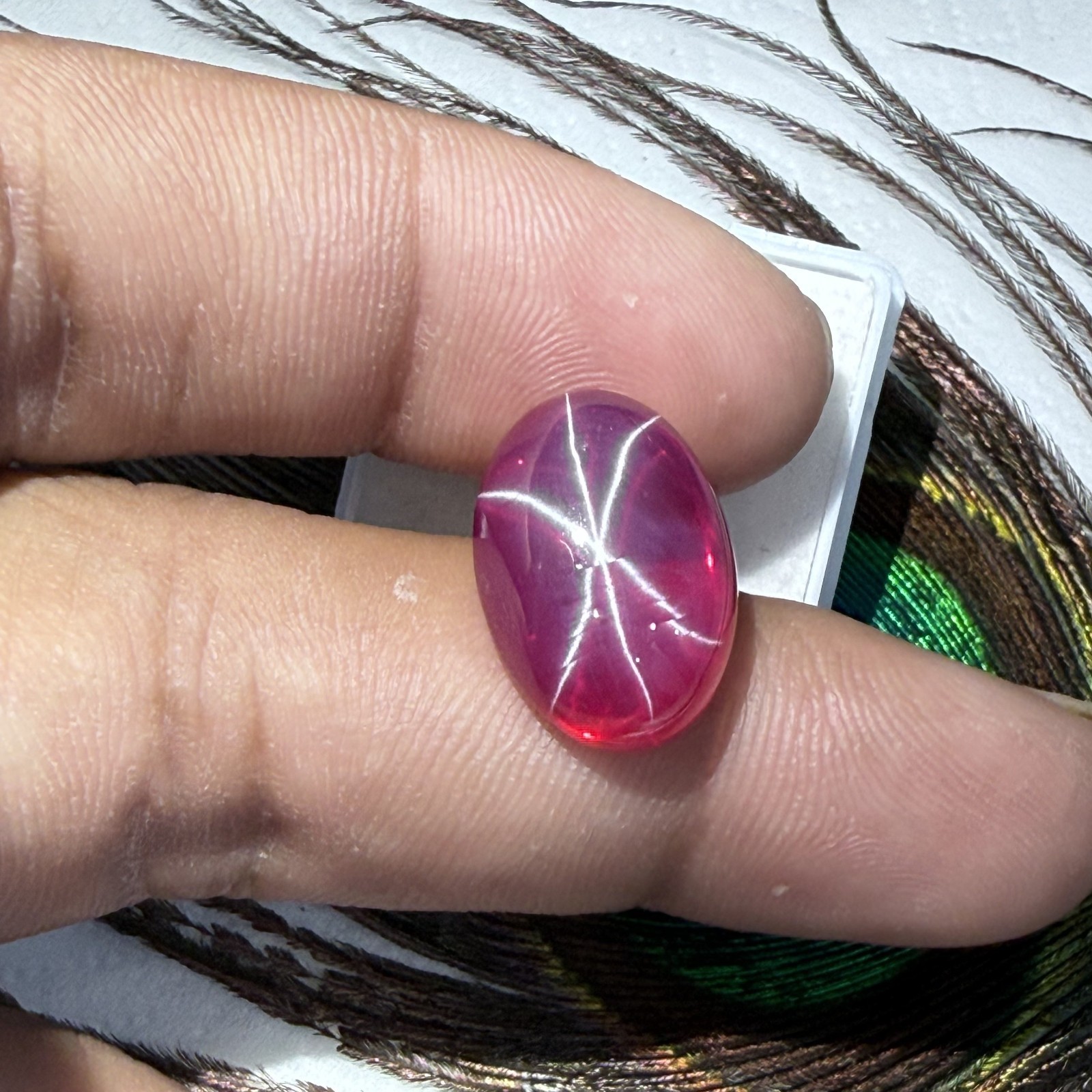 Certified 19.80 Ct Natural Vietnam Star Ruby 17.9×13.1 mm Oval 6-Ray Gemstone