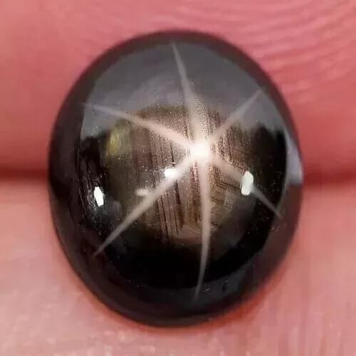 Natural Black Star Sapphire 6 Rays 9.55 Ct Oval Cabochon Loose Gemstone