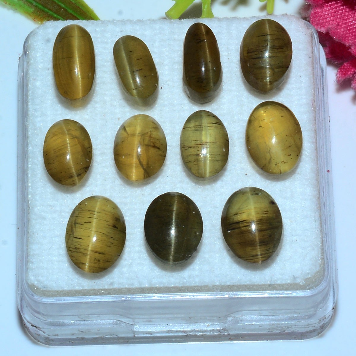 11 Pcs Natural Apatite Cats Eye 8mm-9mm Oval Cabochon Huge Loose Gemstones Lot