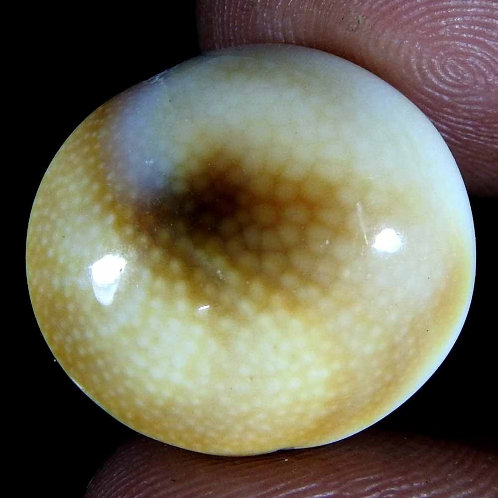 19.70 Ct Natural Shiva Eye Oval Cabochon Loose Gemstone