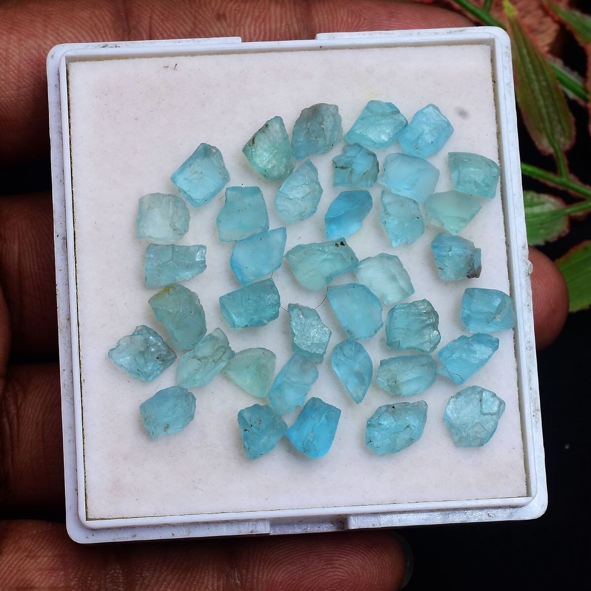 37 Pcs Natural Apatite Rough 6.40mm-9.13mm Untreated Huge Loose Gemstones lot