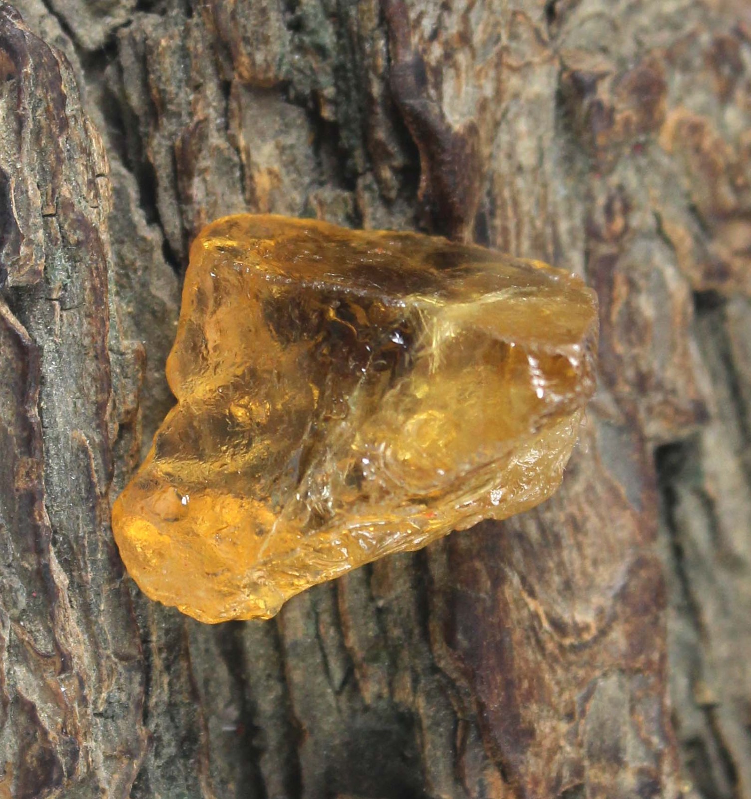 Yellow Grossular Garnet 26.75 Ct Natural Gemstone Rough Certified T37043