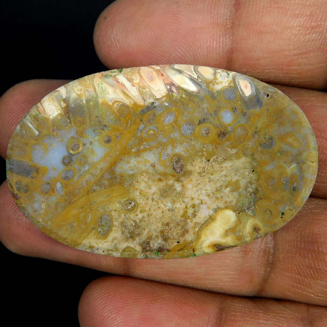 Natural Gorgeous Palm Root Agate Oval Cabochon 66.10Cts. Loose Gemstone
