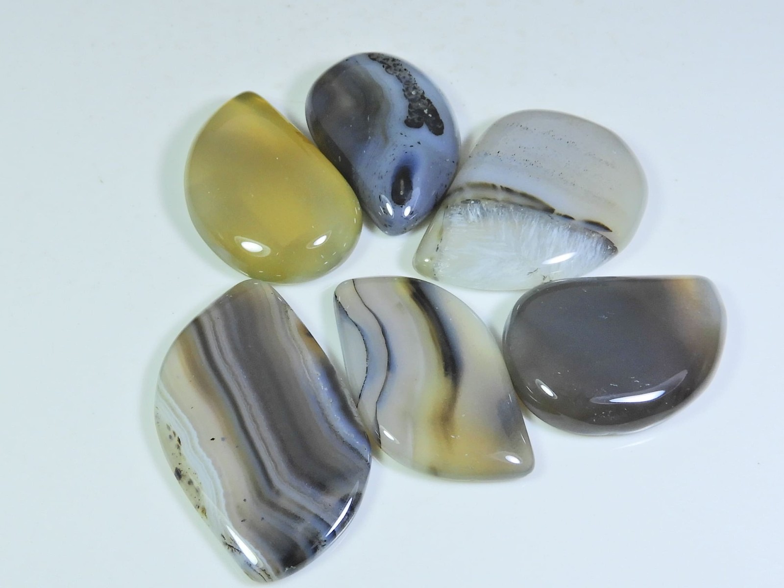 248Cts. Natural Botswana Agate Fancy Cabochon Loose Gemstone 6 Pcs Lot h714
