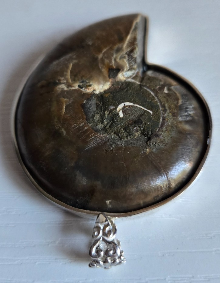 Large Ammonite Fossil Pendant with Mother of Pearl Inlay Silver 925 Frame 56 gr