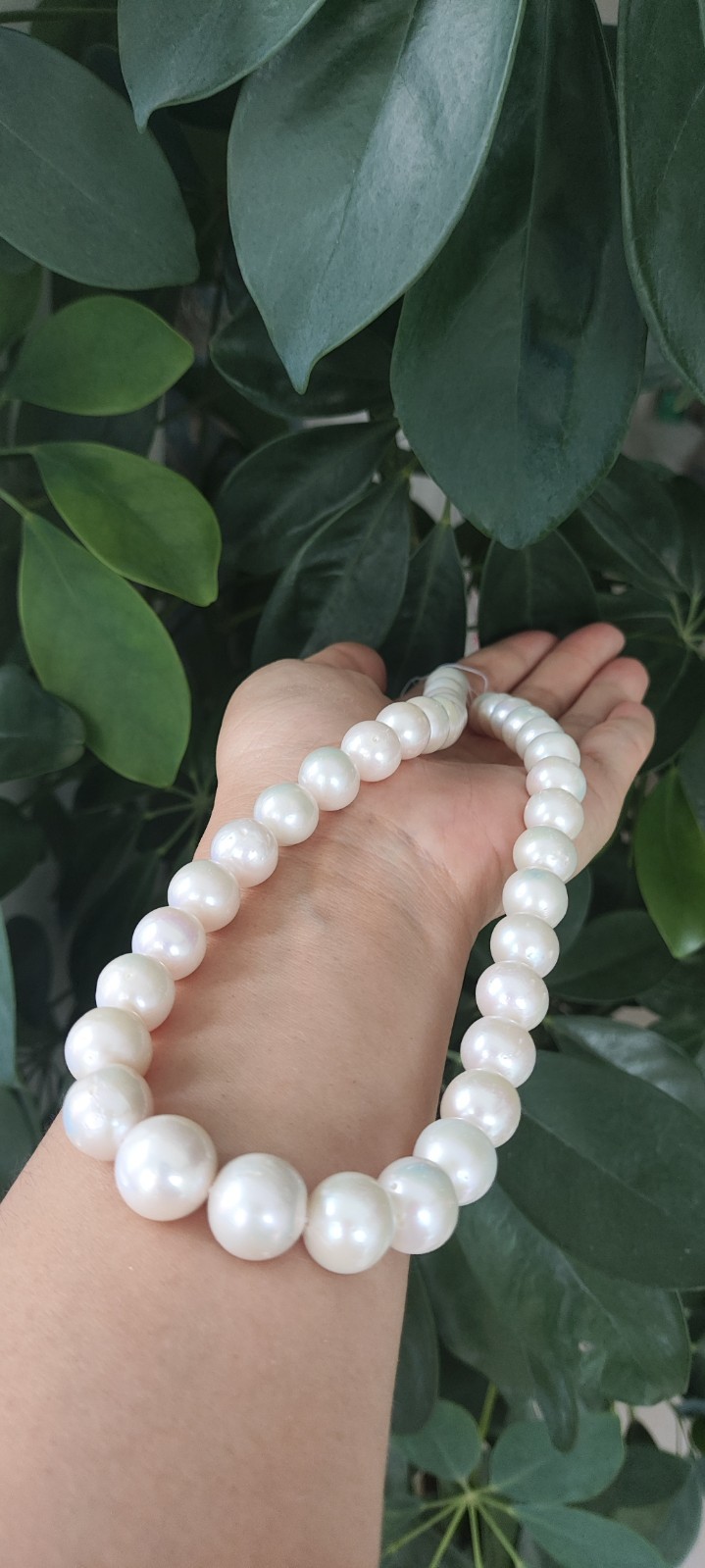 AAAAA 12-13 MM GENUINE NATURAL Australian south sea white pearl necklace 18″