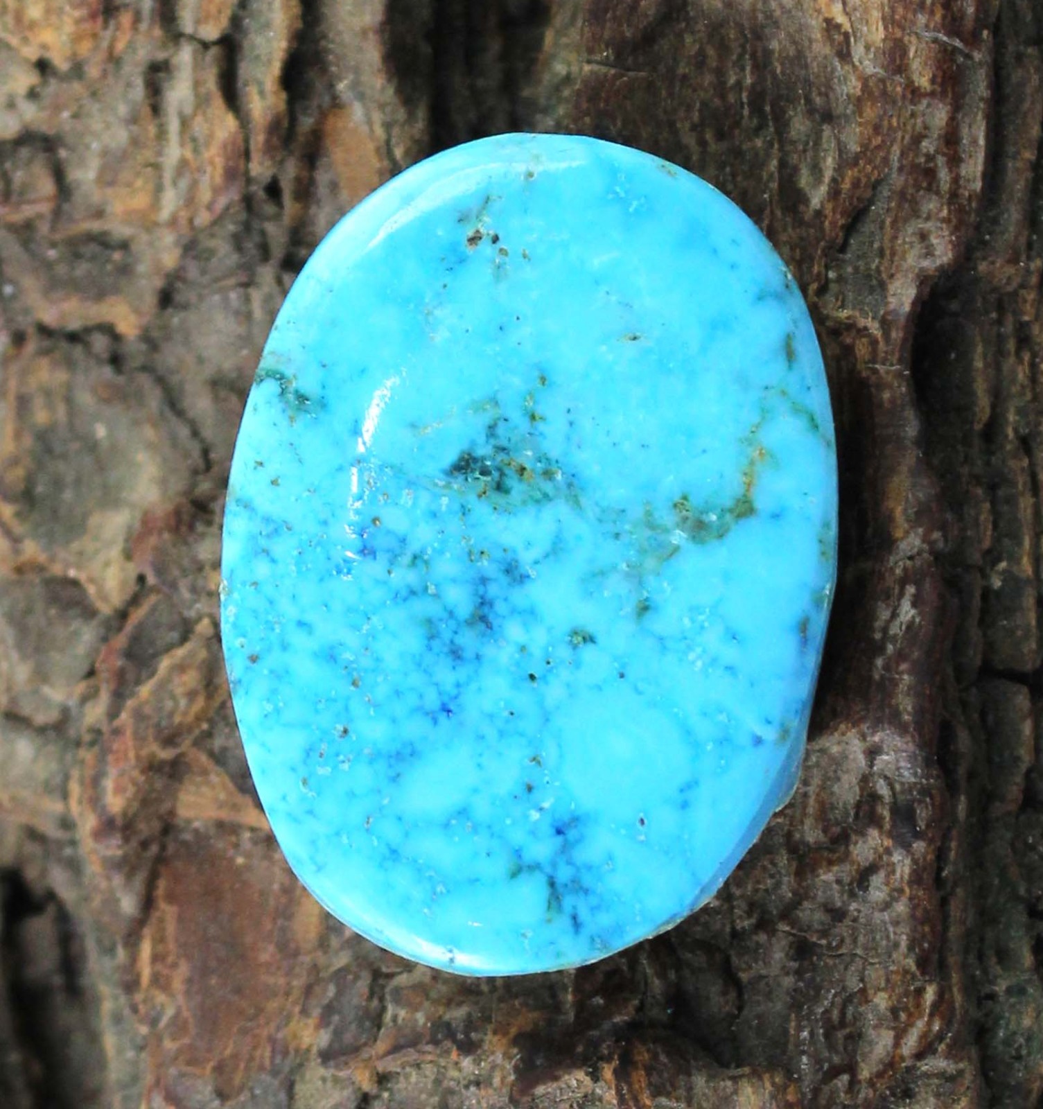 Natural 26.75 Ct Oval Arizona Blue Turquoise Gemstone Certified T22251 No Tariff