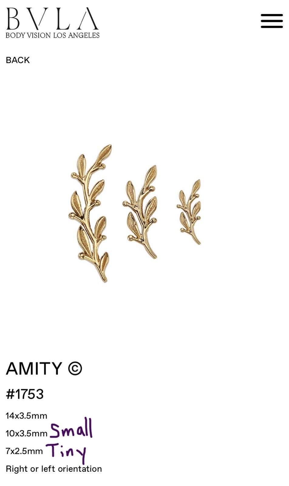 BVLA 14KY Small Amity Curve 16GA Threaded Ends PAIR – Left And Right Set + Posts