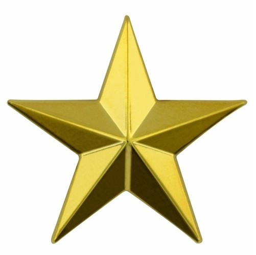 Premium Metal Gold Star Pin with Butterfly Clutch Back
