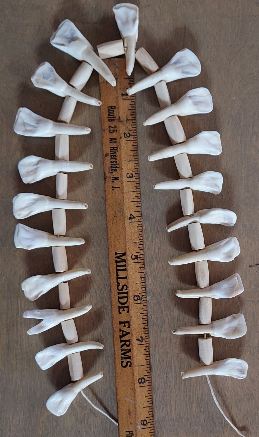 REAL Natural Vintage Tribal Ethnic Necklace Tooth / 20 TEETH + Animal BONES