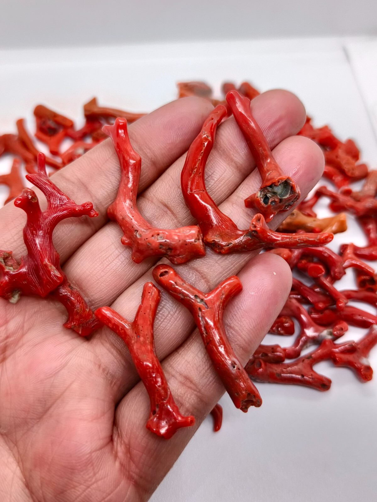 100 Crt Lot Mediterranean Sea Red Coral Rough Branch-Natural Red Coral Branch