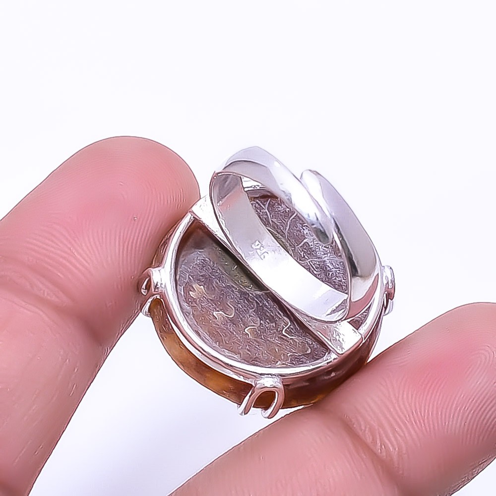 Cleoniceras Cleon Ammonite -Fossil Solitaire 925 Sterling Silver Ring s.7.5 R126